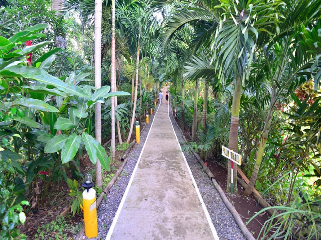 Bay View Eco Resort & Spa Port Antonio Dış mekan fotoğraf