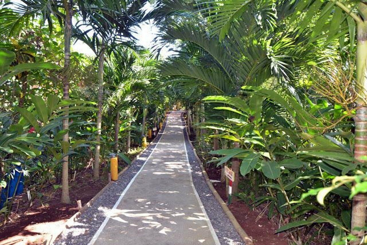 Bay View Eco Resort & Spa Port Antonio Dış mekan fotoğraf